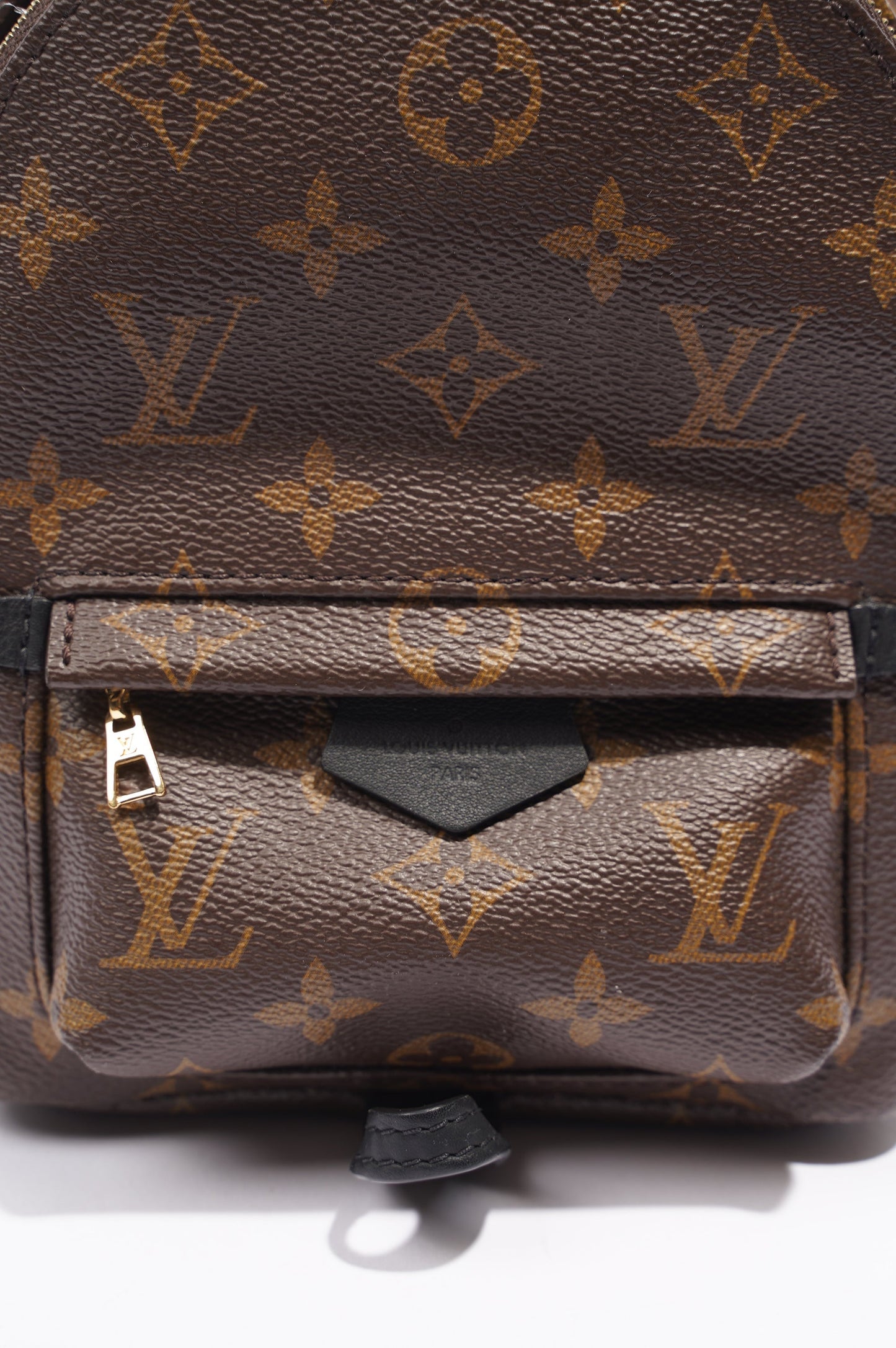 Louis Vuitton Palm Springs Mini Backpack Monogram Canvas