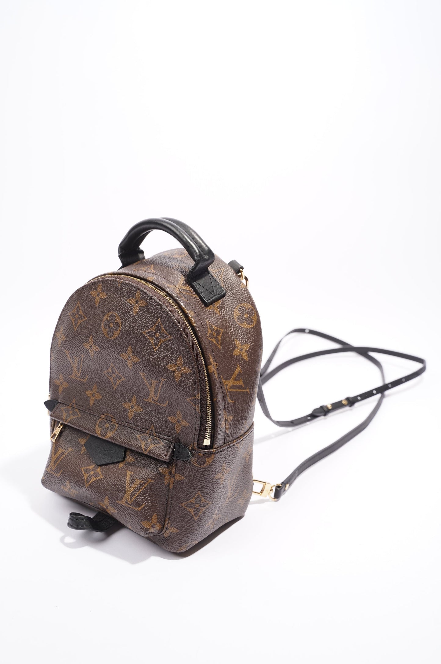 Louis Vuitton Palm Springs Mini Backpack Monogram Canvas