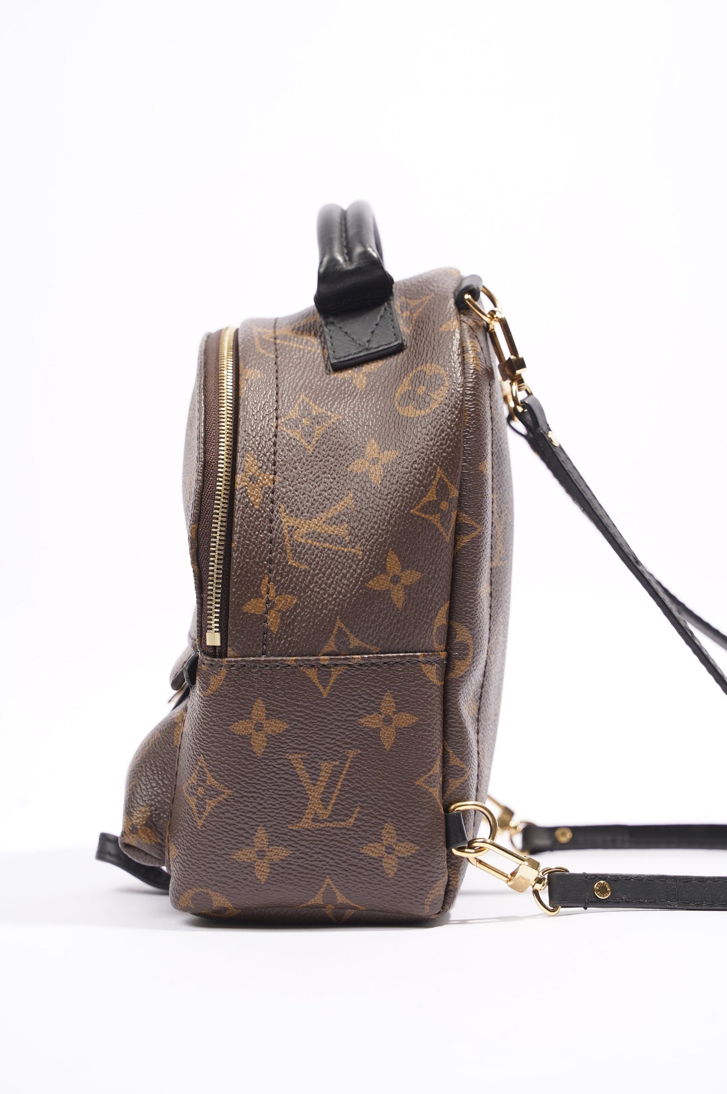 Louis Vuitton Palm Springs Mini Backpack Monogram Canvas