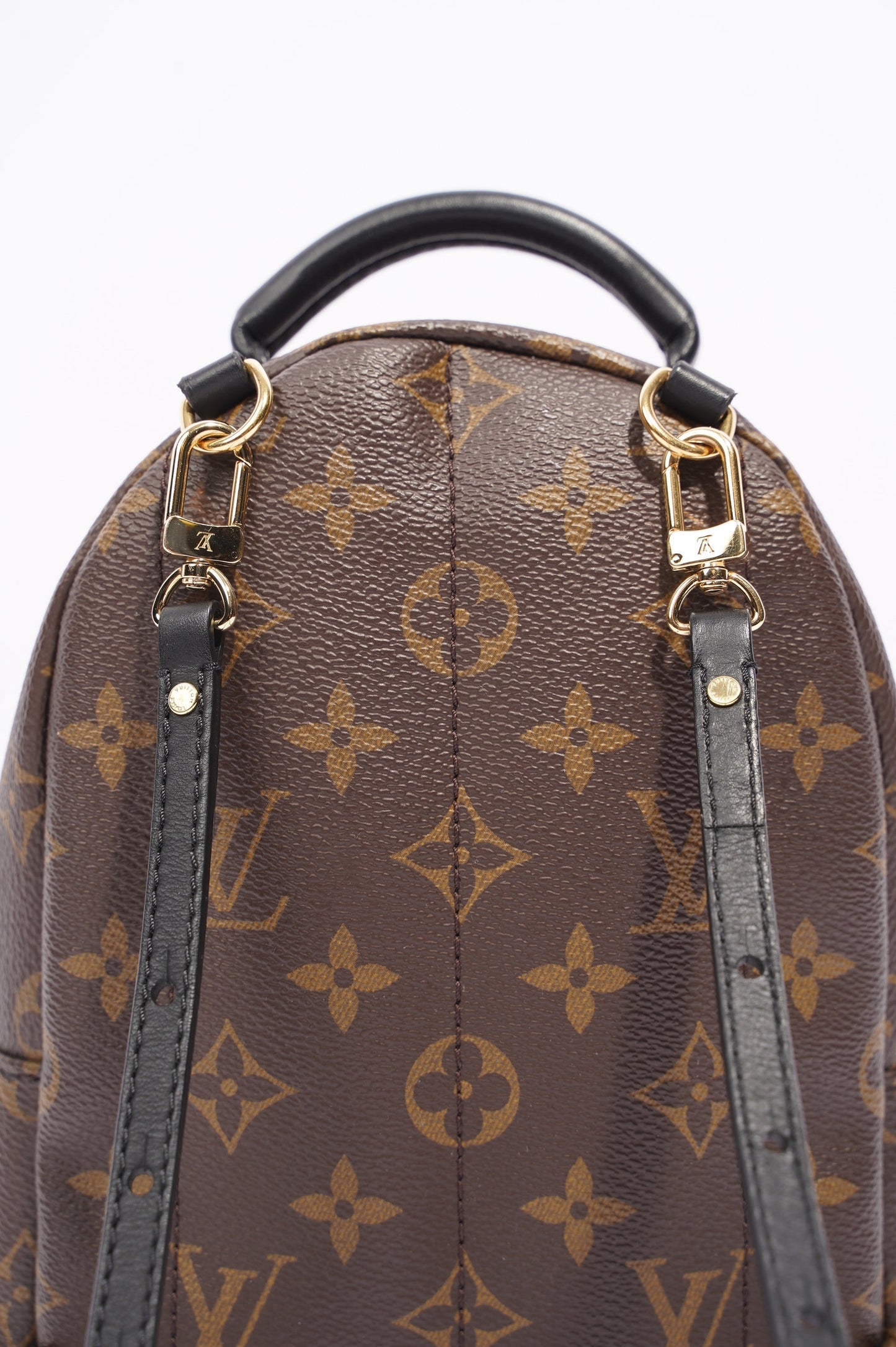 Louis Vuitton Palm Springs Mini Backpack Monogram Canvas