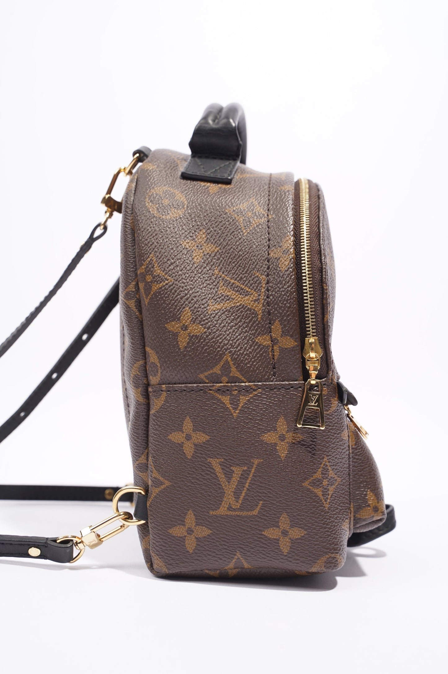 Louis Vuitton Palm Springs Mini Backpack Monogram Canvas