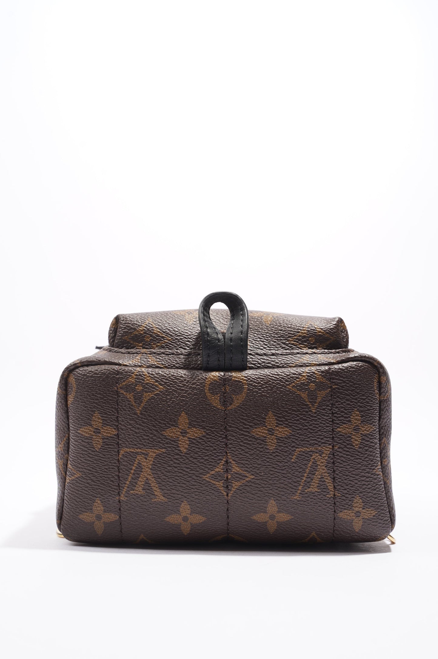 Louis Vuitton Palm Springs Mini Backpack Monogram Canvas