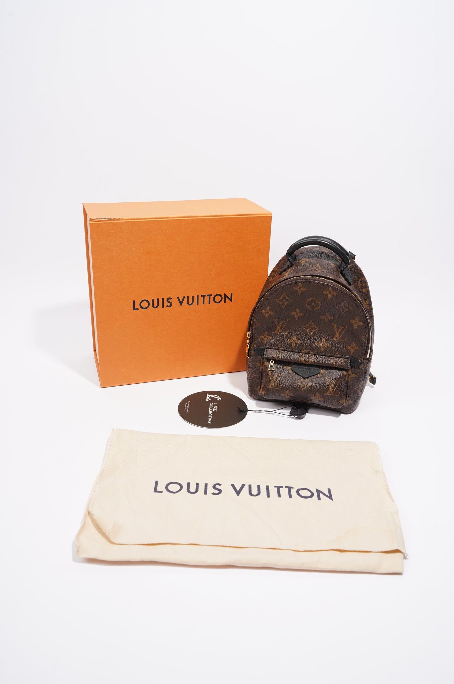 Louis Vuitton Palm Springs Mini Backpack Monogram Canvas