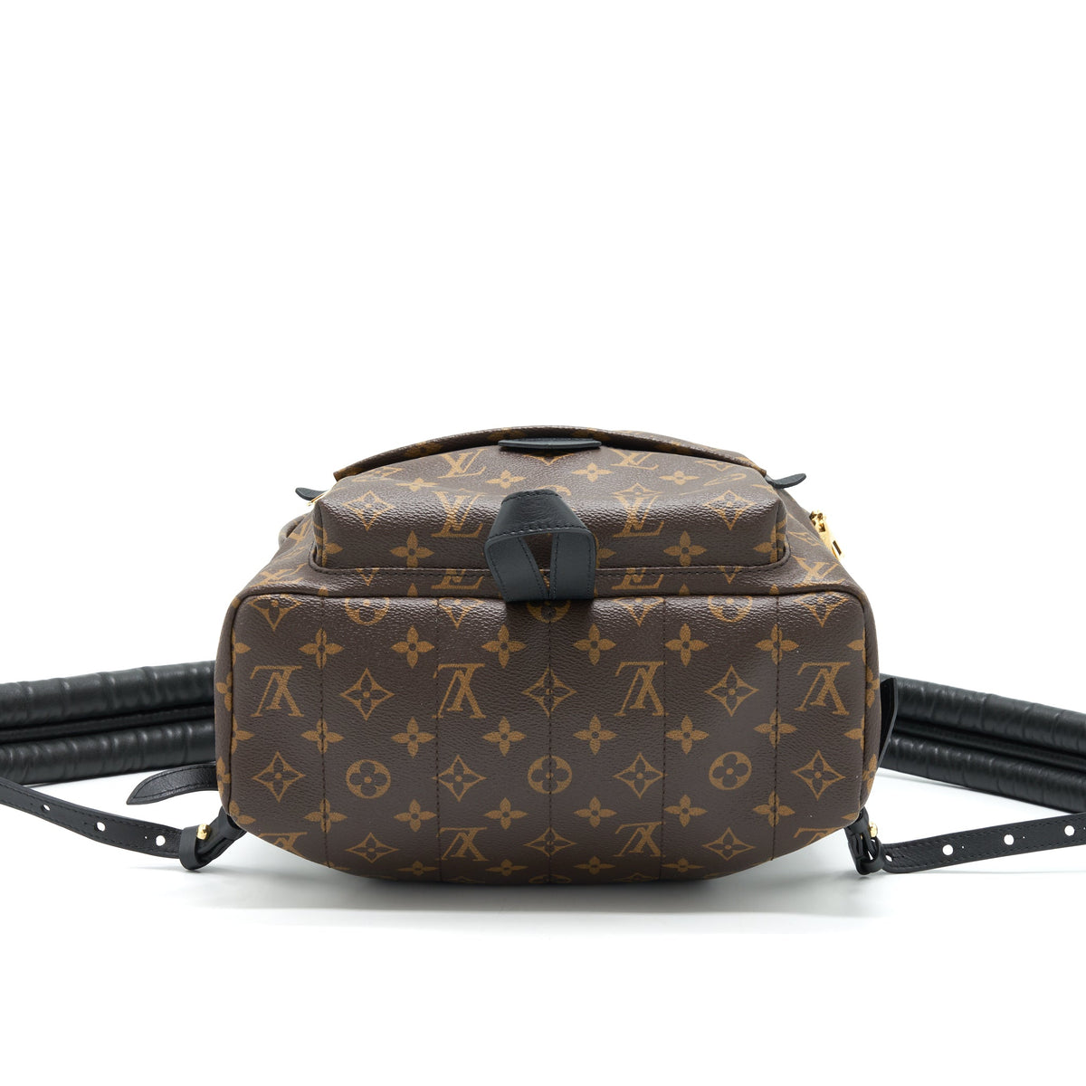 Louis Vuitton Palm Springs MM Monogram Canvas GHW
