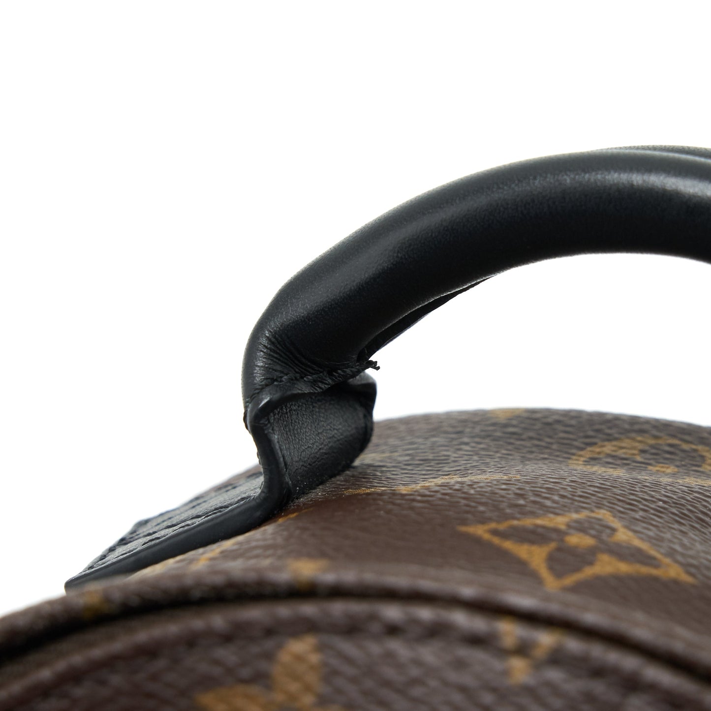Louis Vuitton Palm Spring Mini Backpack Monogram Canvas