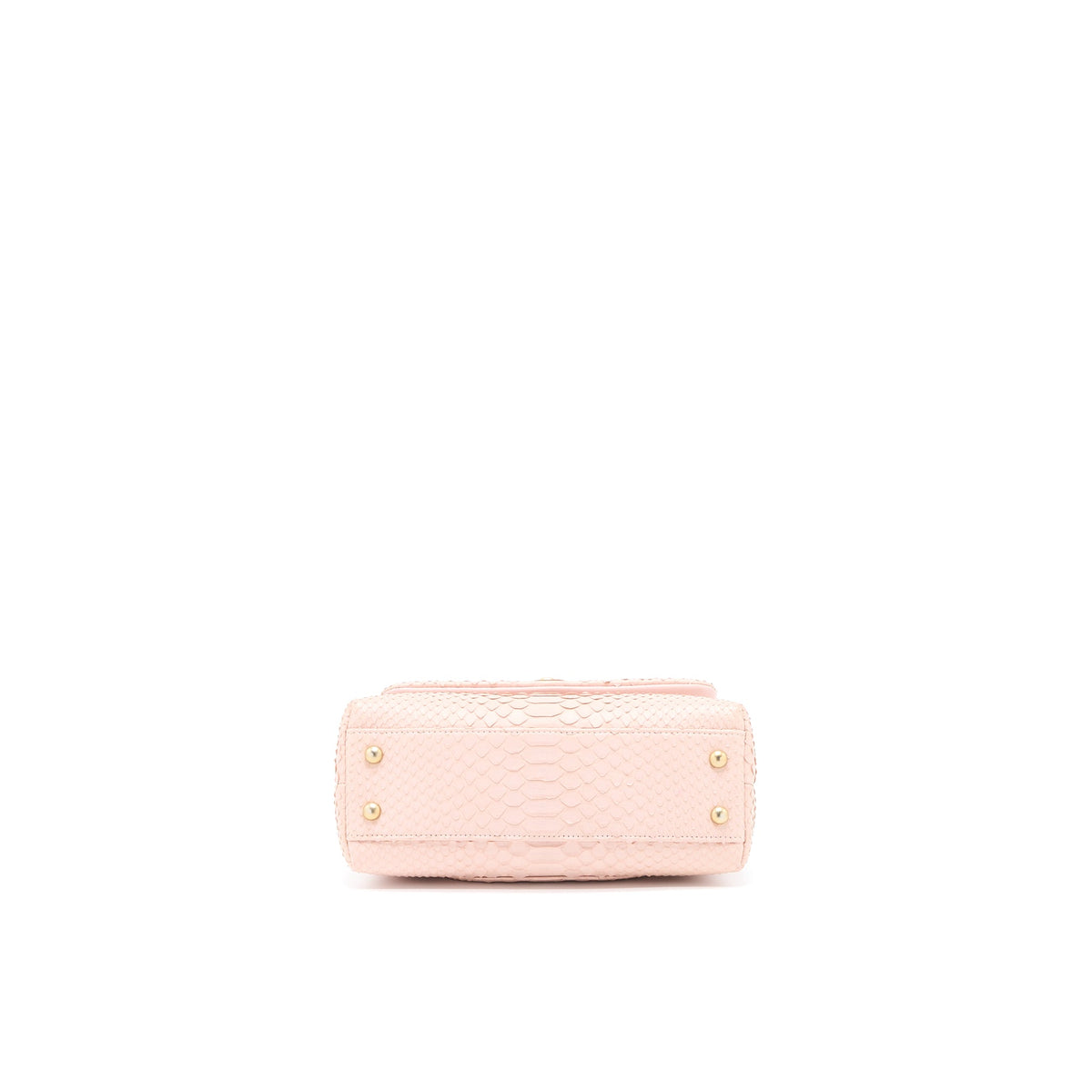 Chanel Small Coco Handle Python Leather Light Pink Brushed GHW