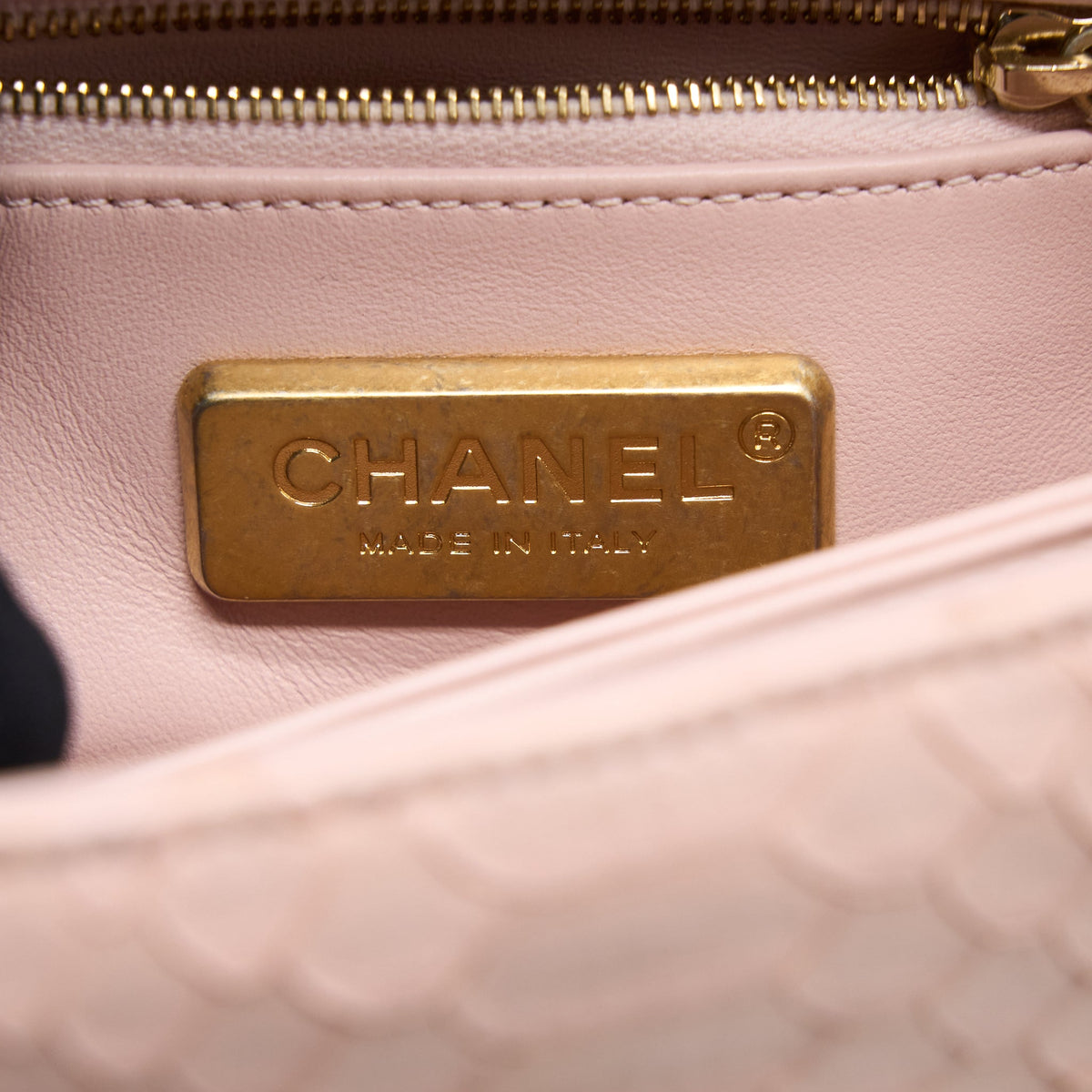 Chanel Small Coco Handle Python Leather Light Pink Brushed GHW