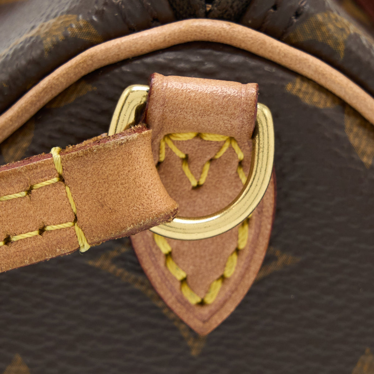 Louis Vuitton Nano Speedy Monogram Canvas GHW