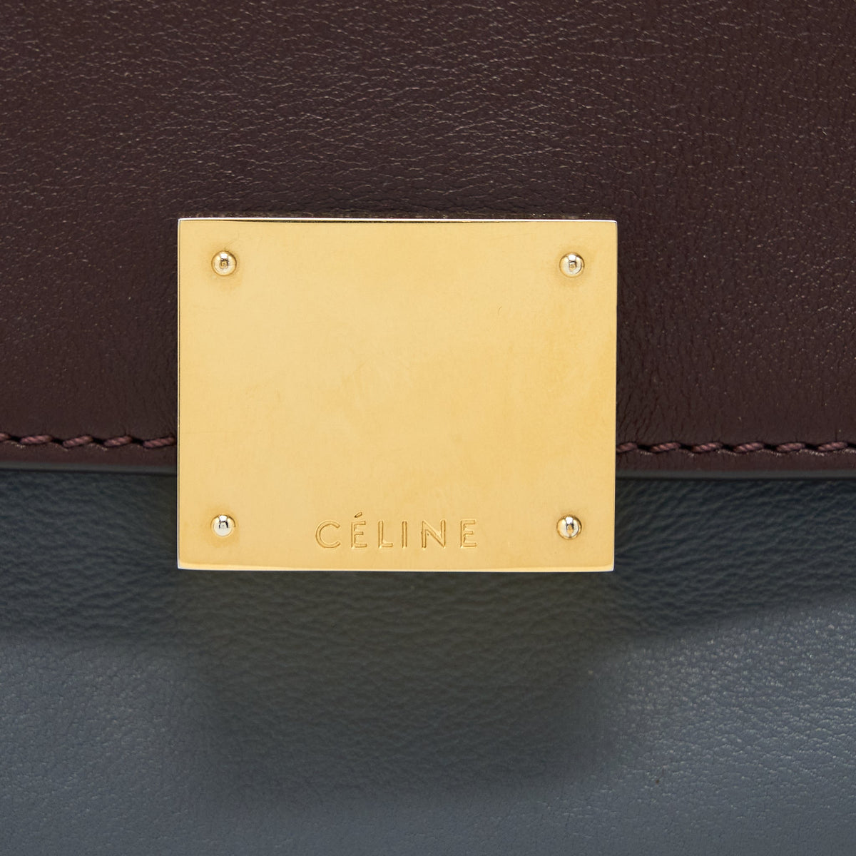 Celine Trapeze Bag Multicoloured GHW