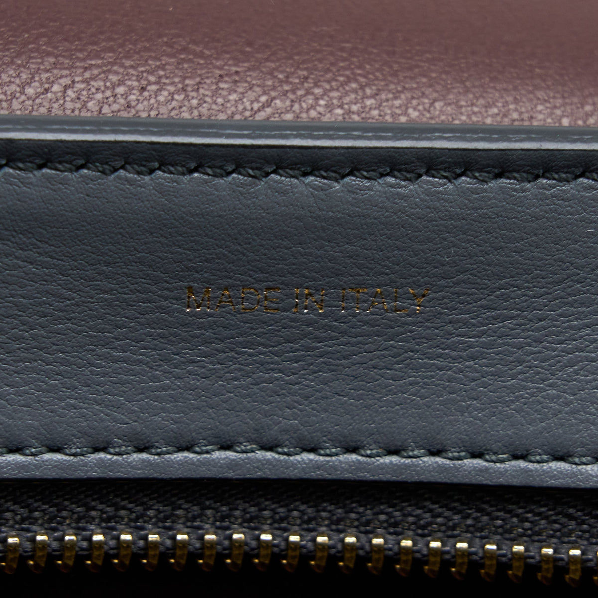 Celine Trapeze Bag Multicoloured GHW