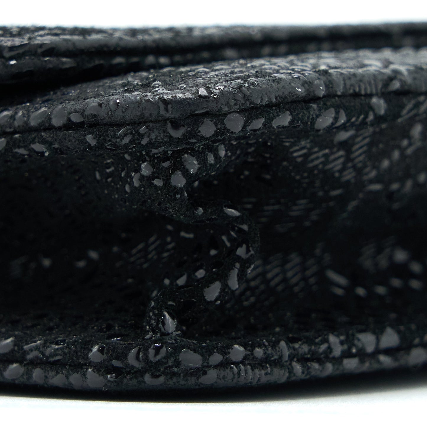 Chanel Seasonal Wallet On Chain Fabric Black SHW