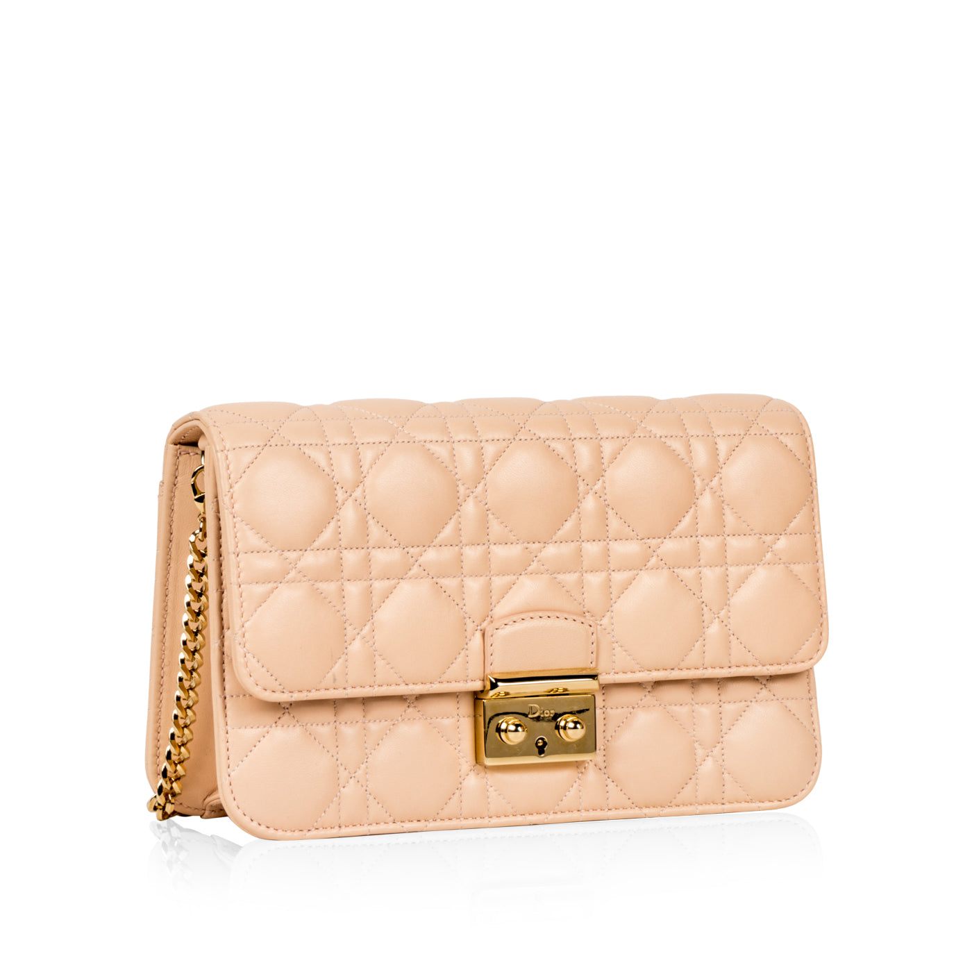 Miss Dior Promenade Crossbody Bag