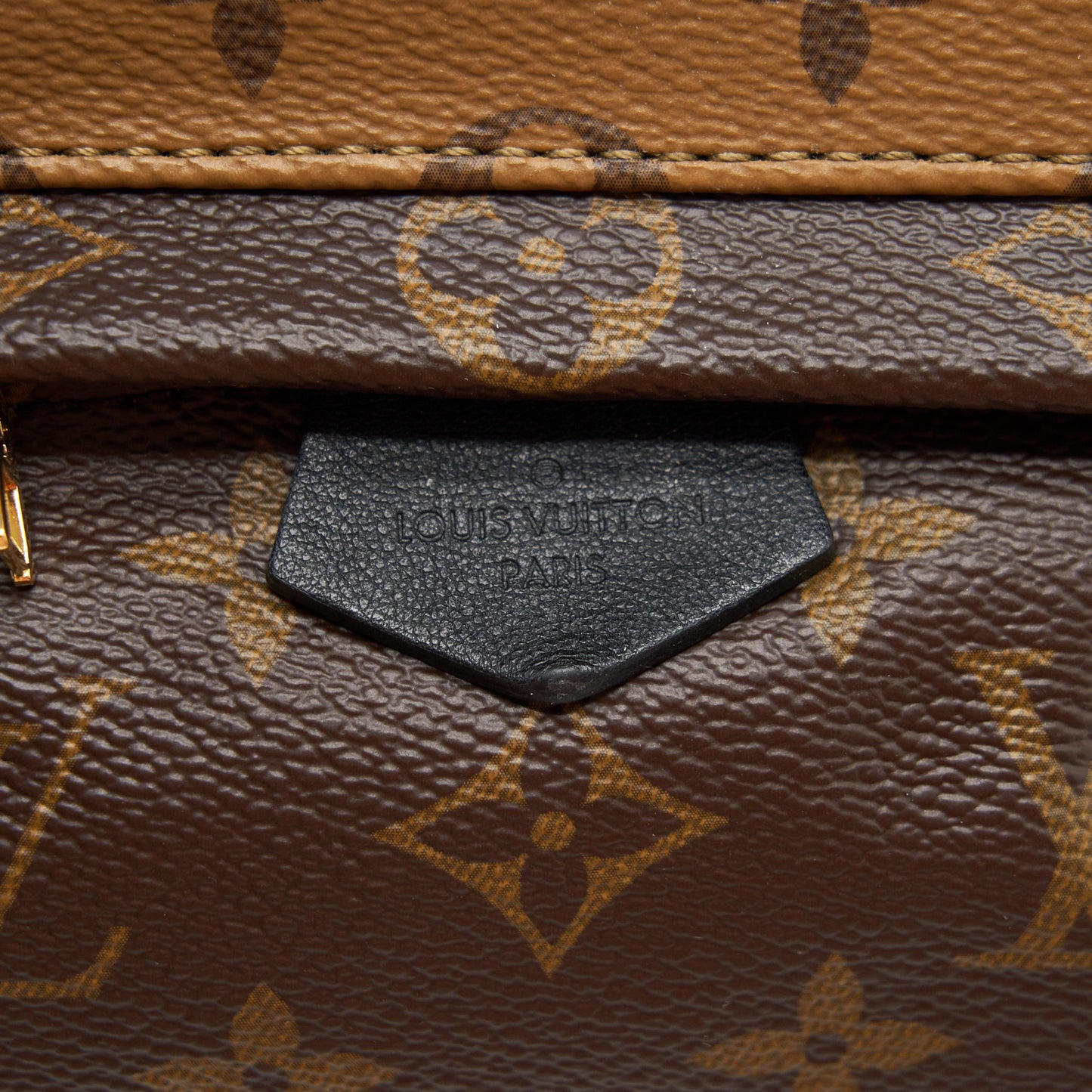Louis Vuitton Palm Spring Mini Backpack Monogram Canvas