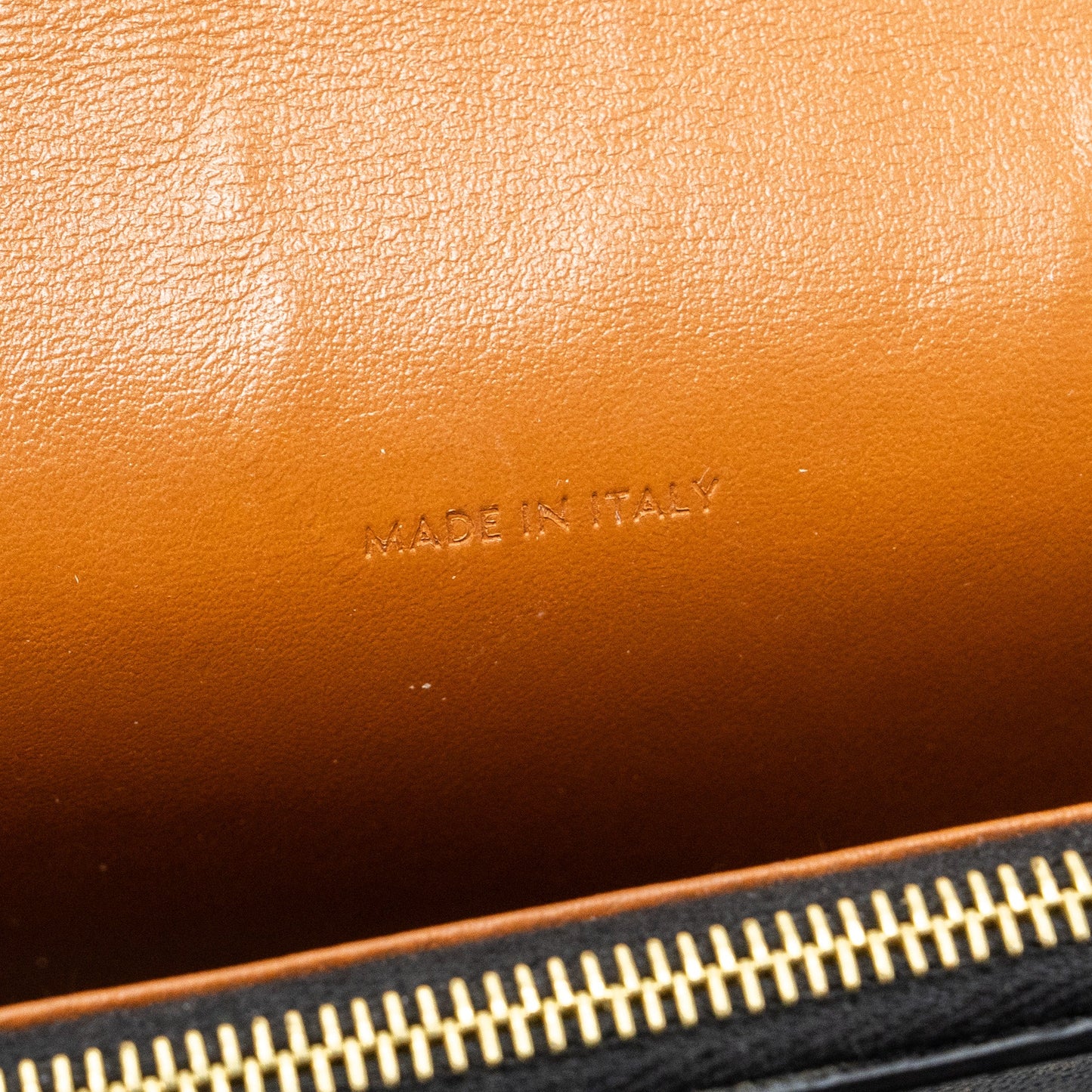 Celine Wallet On Strap Triomphe Canvas/ Lambskin Tan GHW