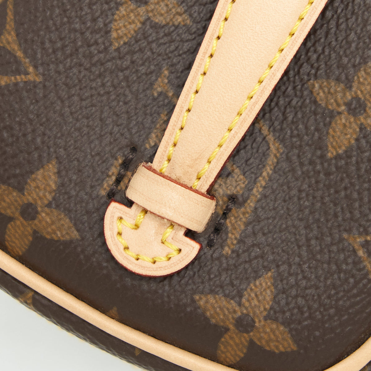 Louis Vuitton nice nano Monogram Canvas year 2020