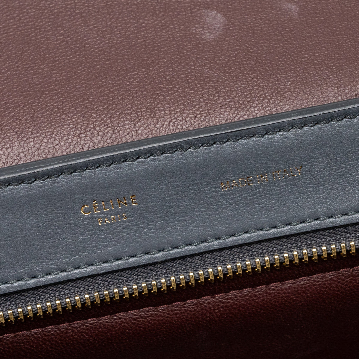 Celine Trapeze Bag Multicoloured GHW