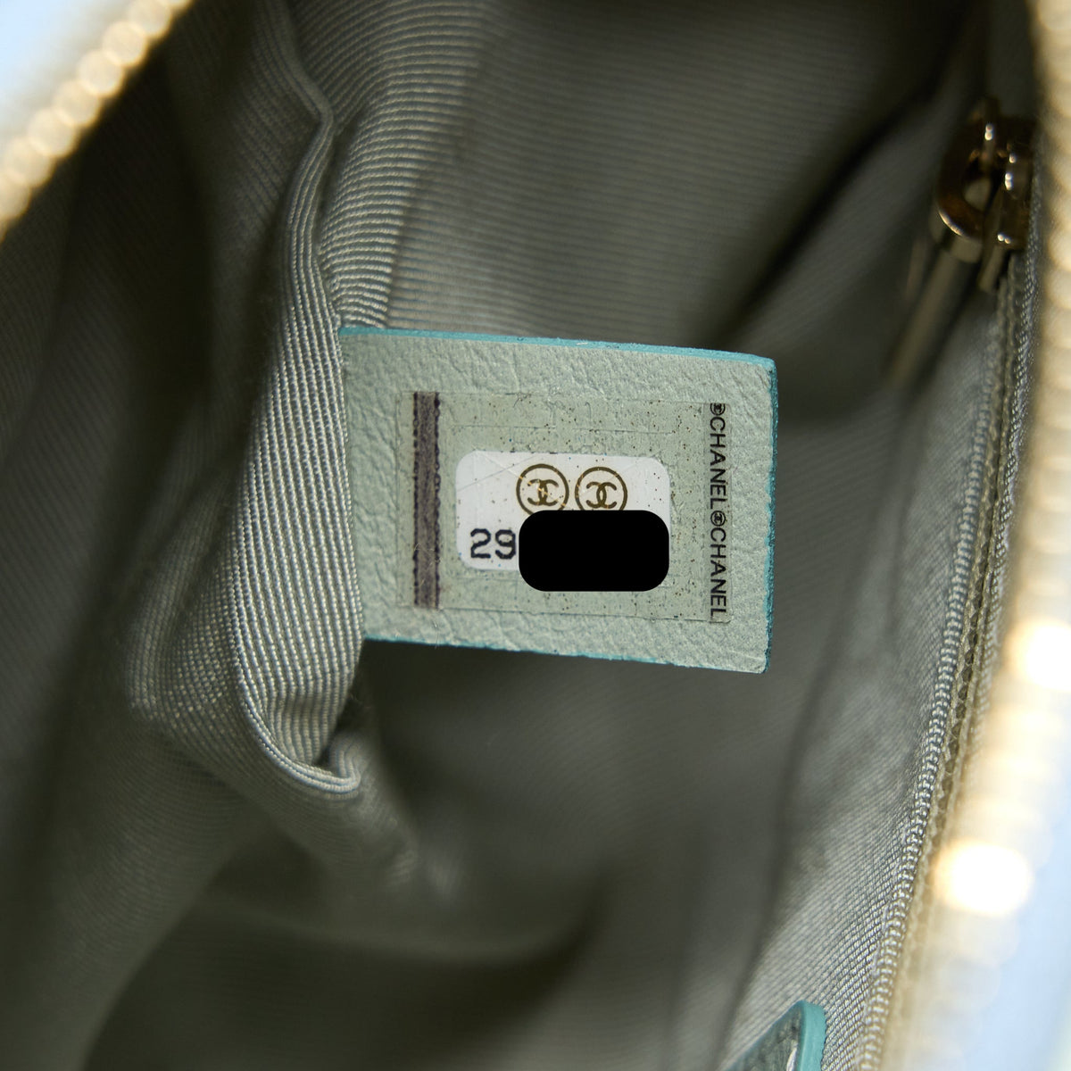 Chanel Small Camera Case Tricolour Goatskin Green Blue Pink LGHW