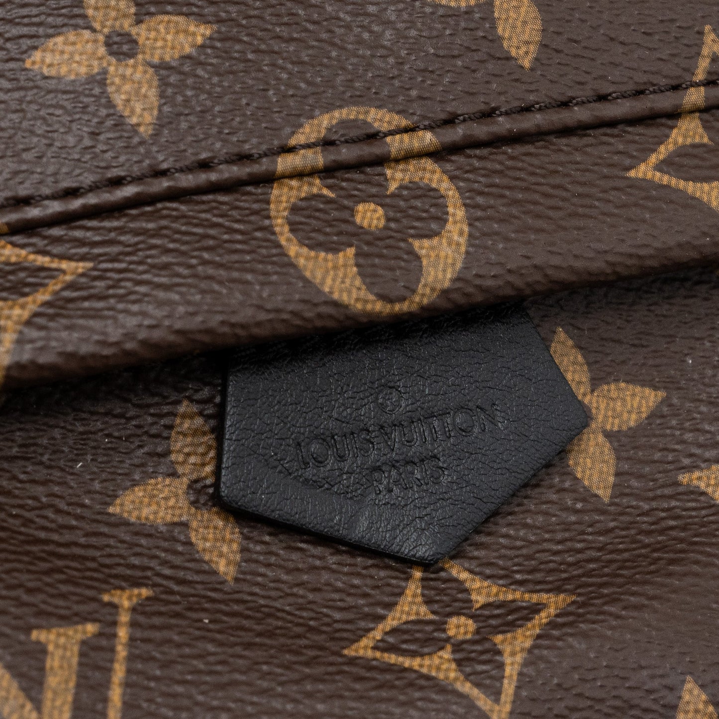 Louis Vuitton Palm Spring Mini Backpack Monogram Canvas GHW (new version)