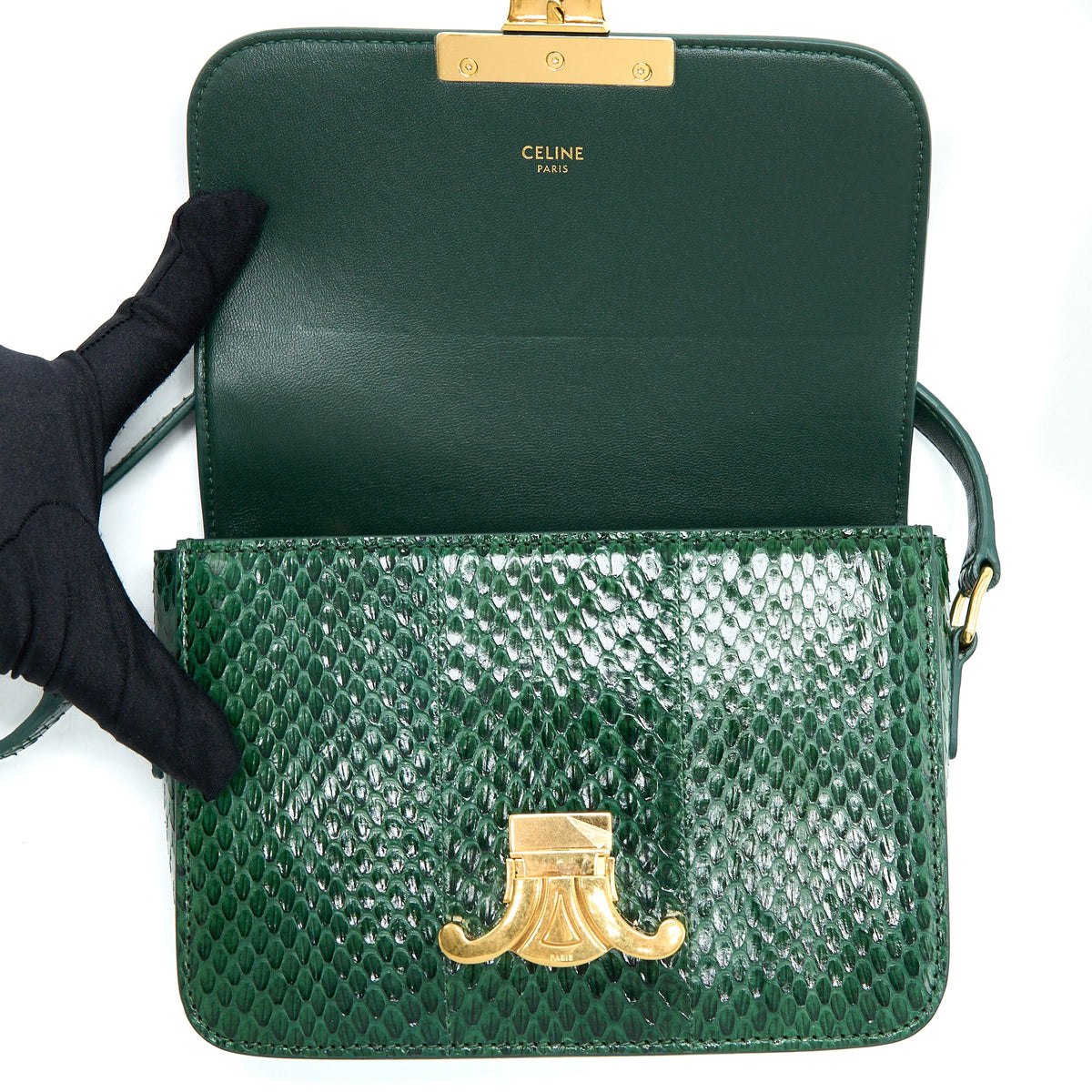 Celine Triomphe Bag Water Snake Leather Green GHW