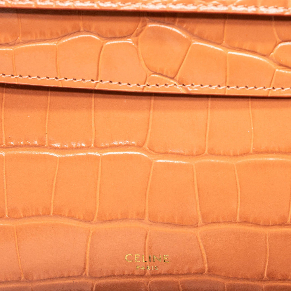 Celine Nano Belt Bag Croc Embossed Calfskin Lychee GHW