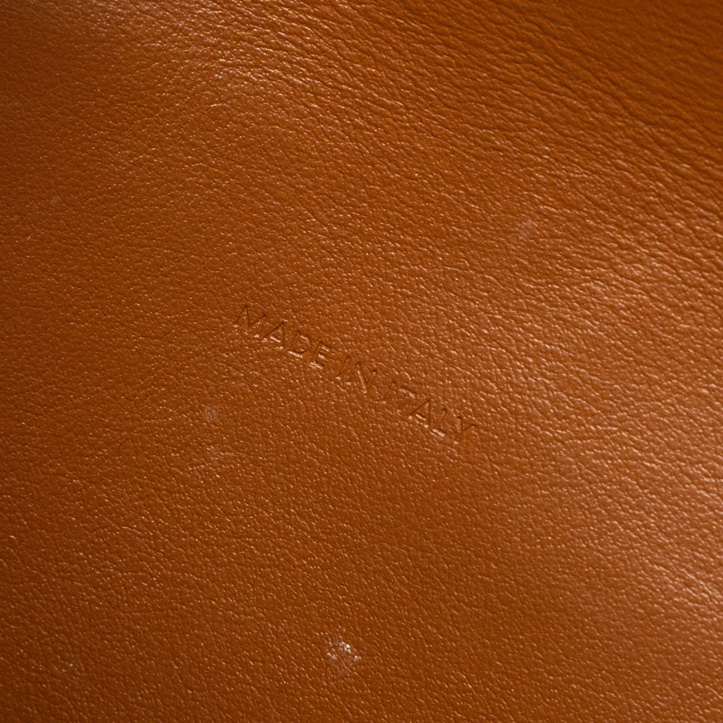 Celine Wallet On Strap Triomphe Canvas/Smooth Lambskin Tan GHW