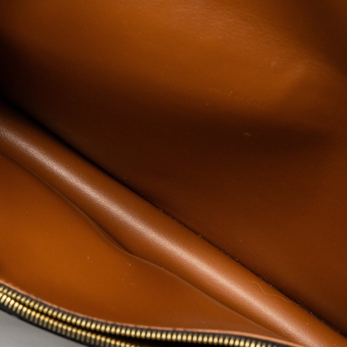 Celine Wallet On Strap Triomphe Canvas/Smooth Lambskin Tan GHW