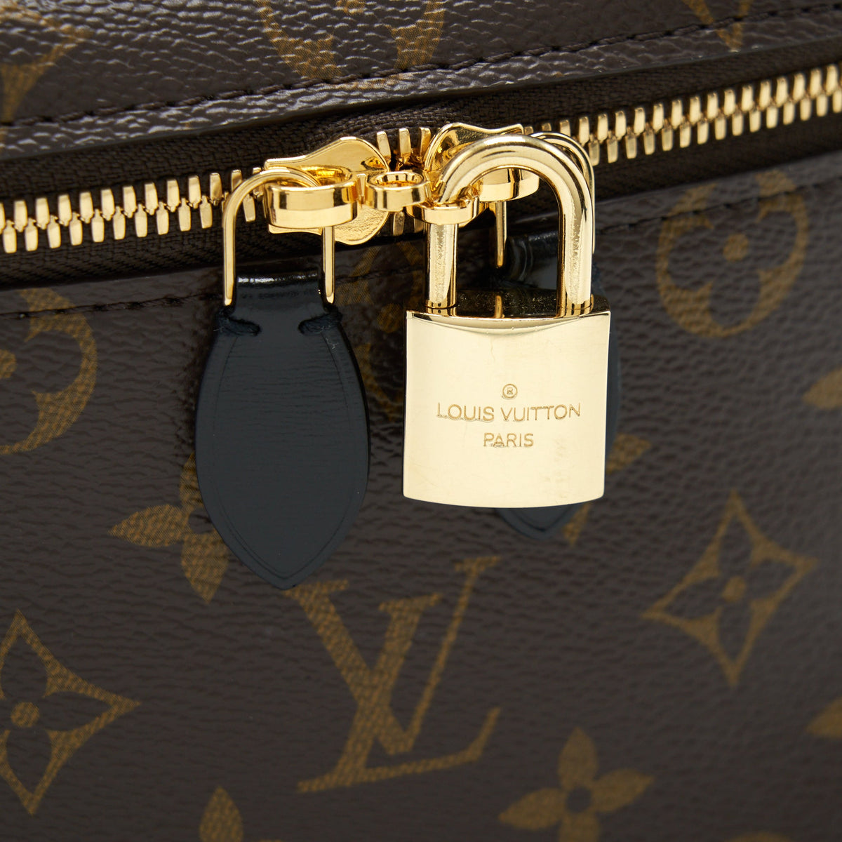Louis Vuitton Vanity PM Monogram Canvas year 2021 With An Extra Twilly