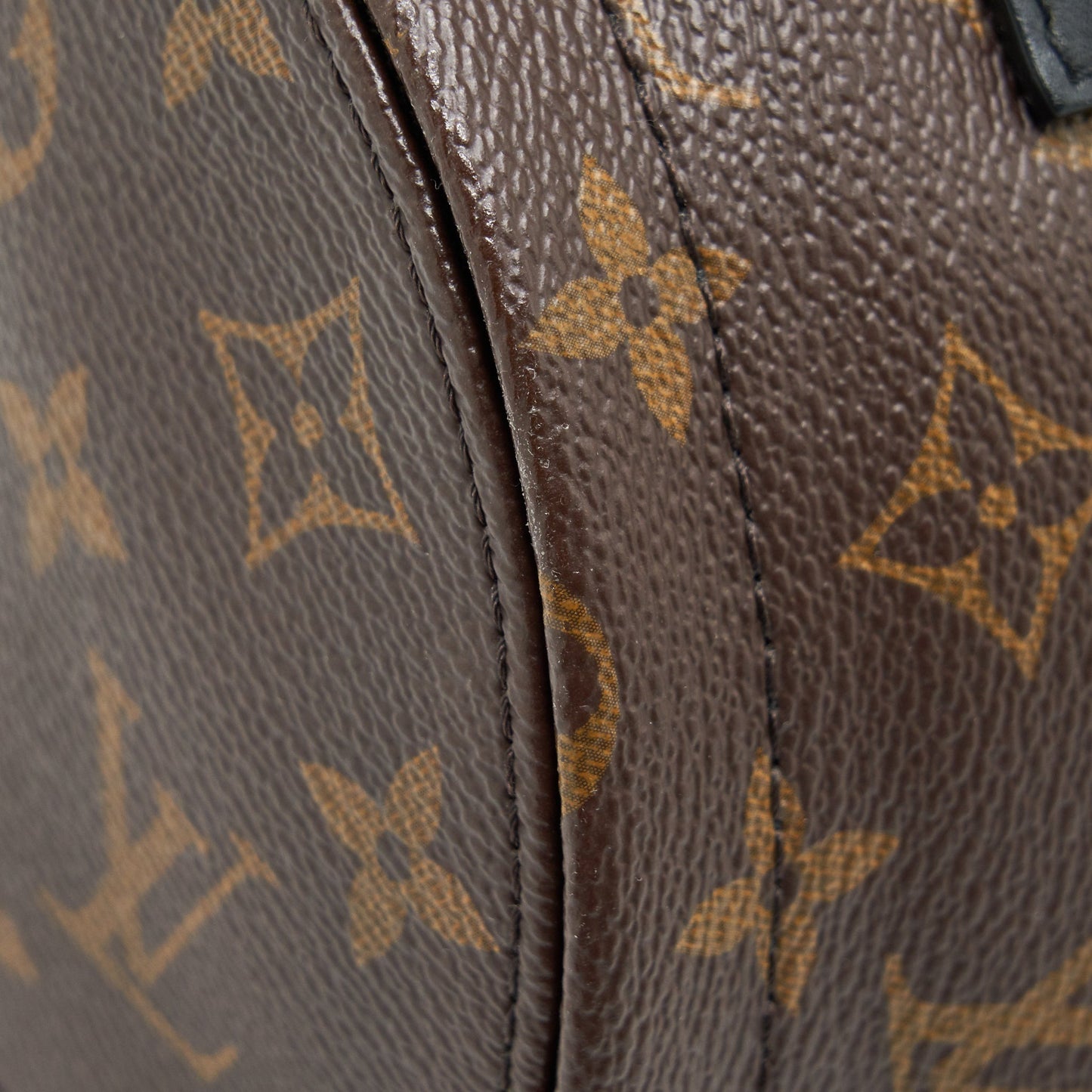 Louis vuitton palm springs Mini Backpack monogam Canvas