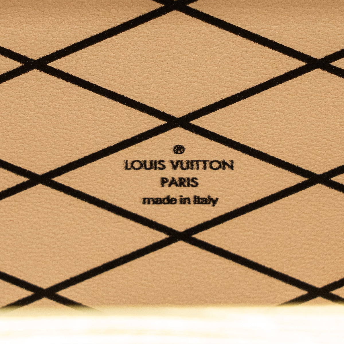 Louis Vuitton petit Malle epi gold / silver SHW