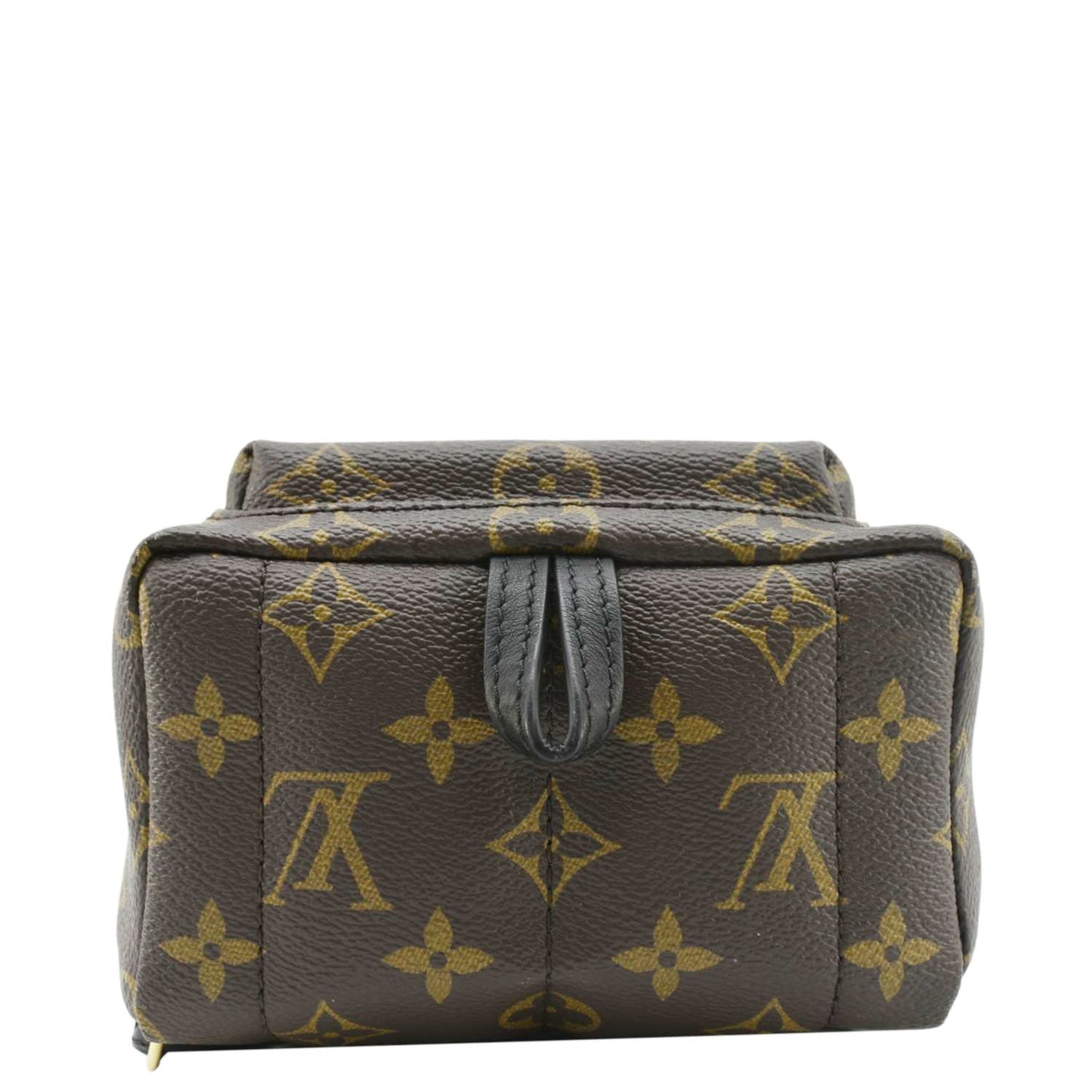 LOUIS VUITTON Palm Springs Mini Monogram Canvas Backpack Brown