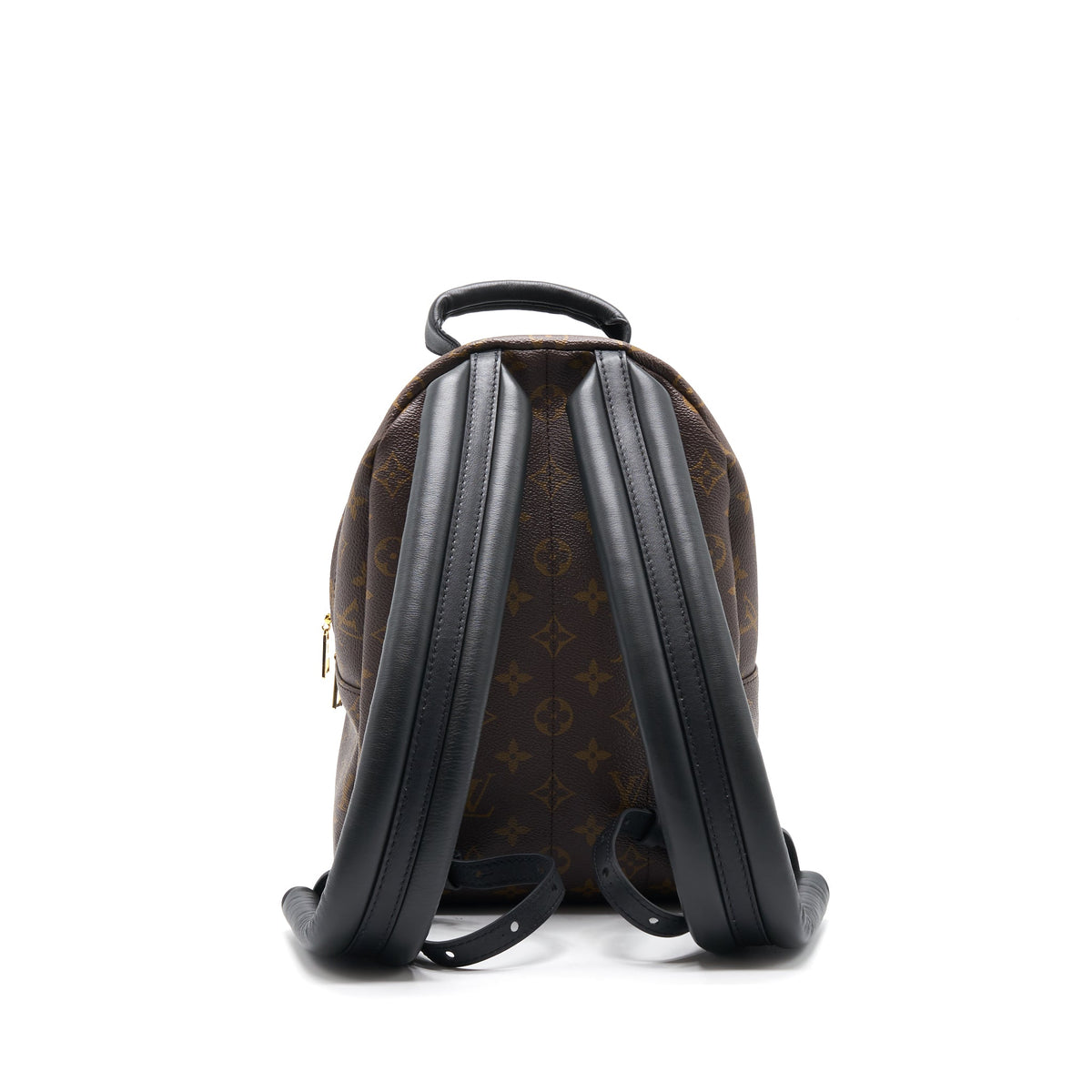 Louis Vuitton Palm Spring PM new zipper