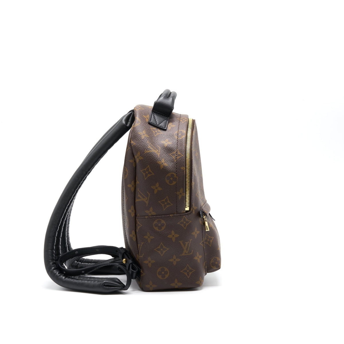 Louis Vuitton Palm Spring PM new zipper
