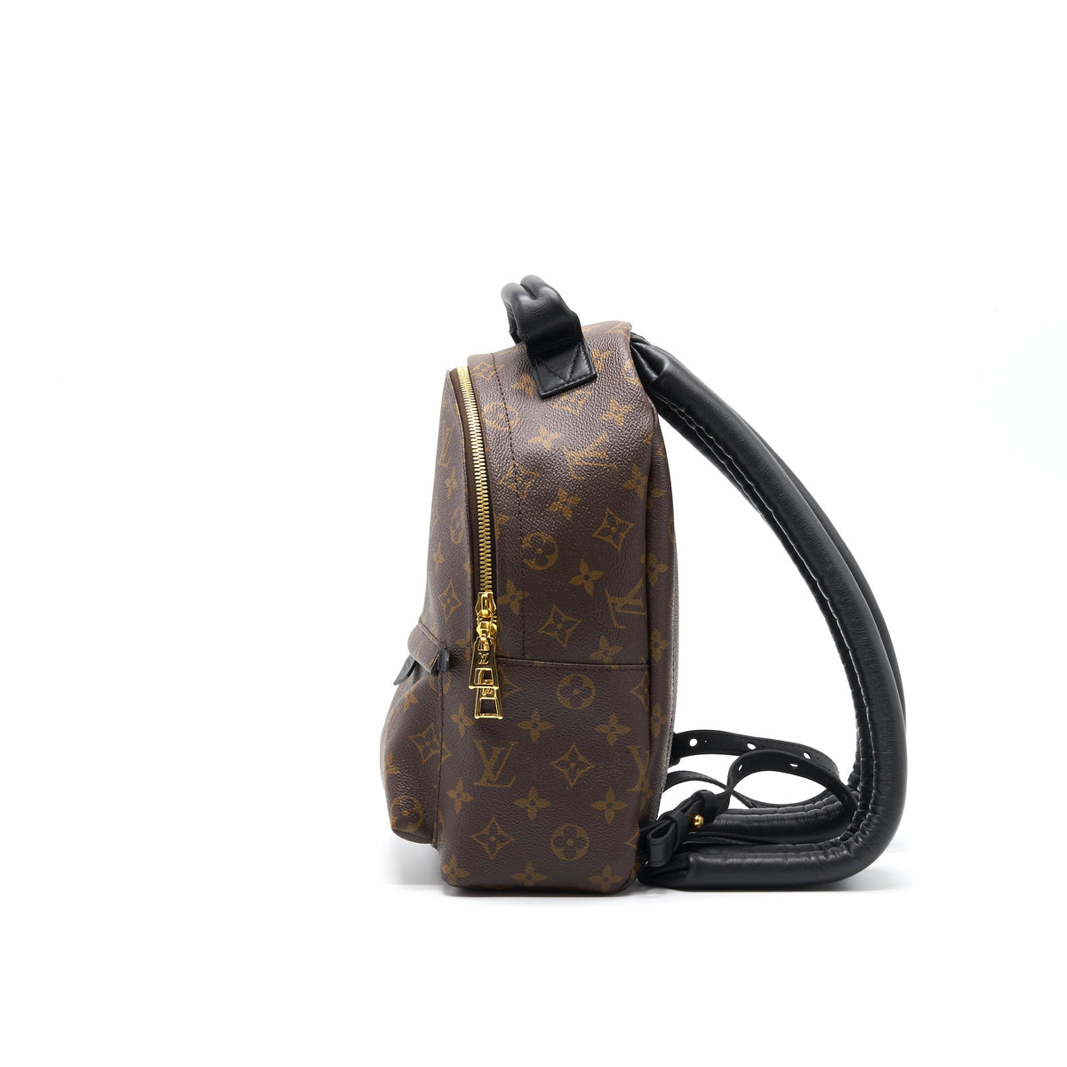 Louis Vuitton Palm Spring PM new zipper