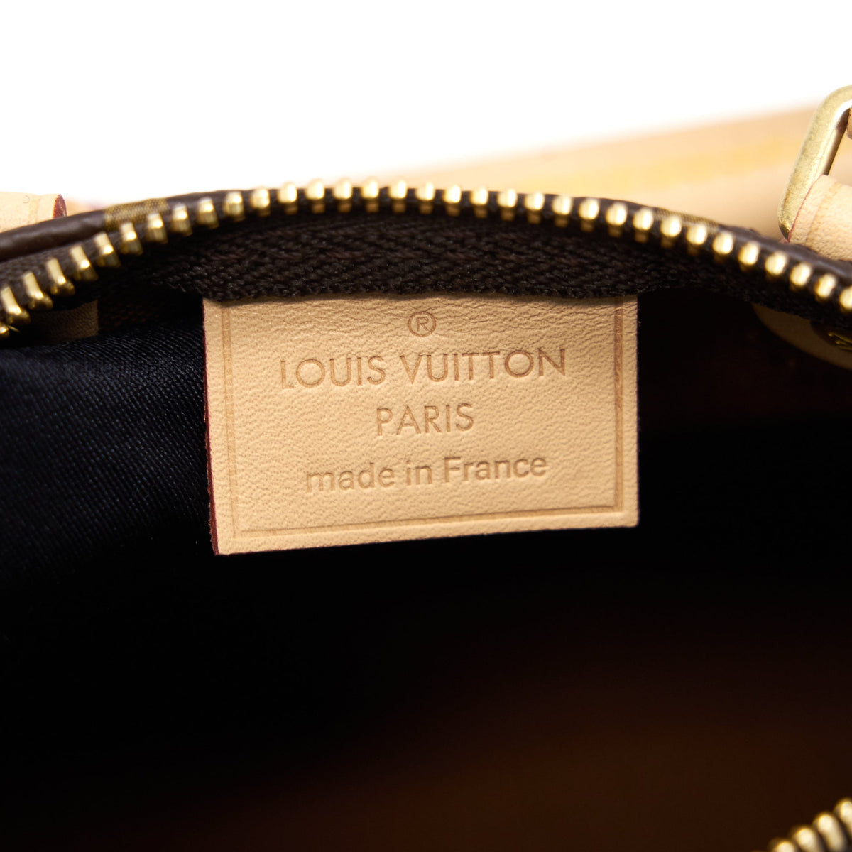Louis Vuitton Nano Speedy TR