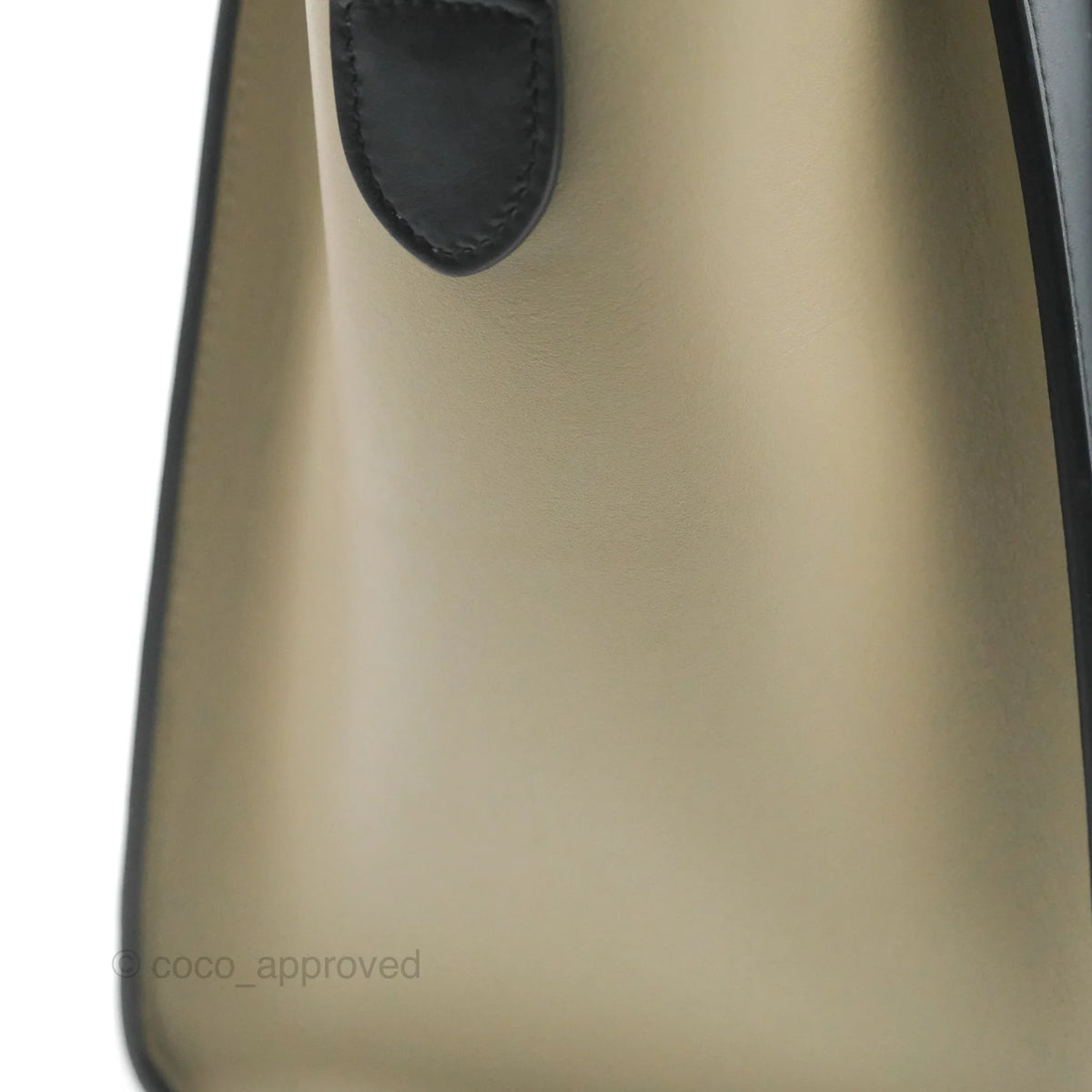 Celine Micro Luggage Bag Taupe/Blue/Black Calfskin