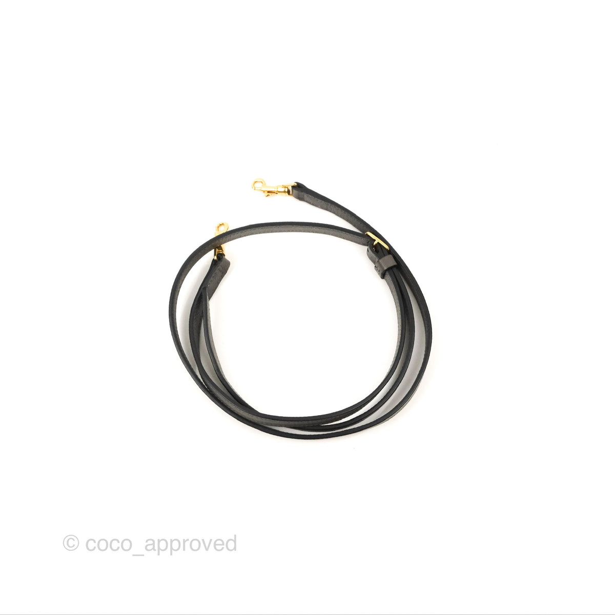 Celine Nano Belt Bag Grey Grained Calfskin Gold Hardware