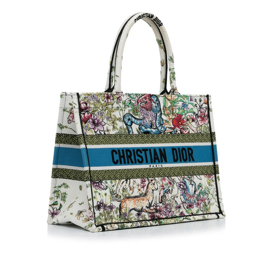 Dior Medium Latte Multicolor D-Constellation Book Tote (SHG-BjecvA)