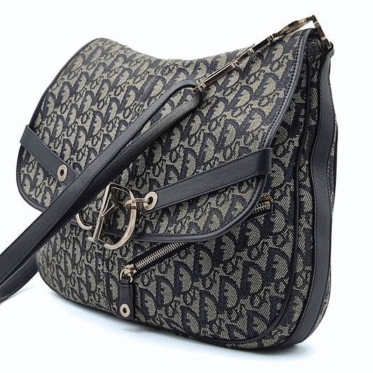 DIOR Saddle large shoulder Bag in monogram canvas