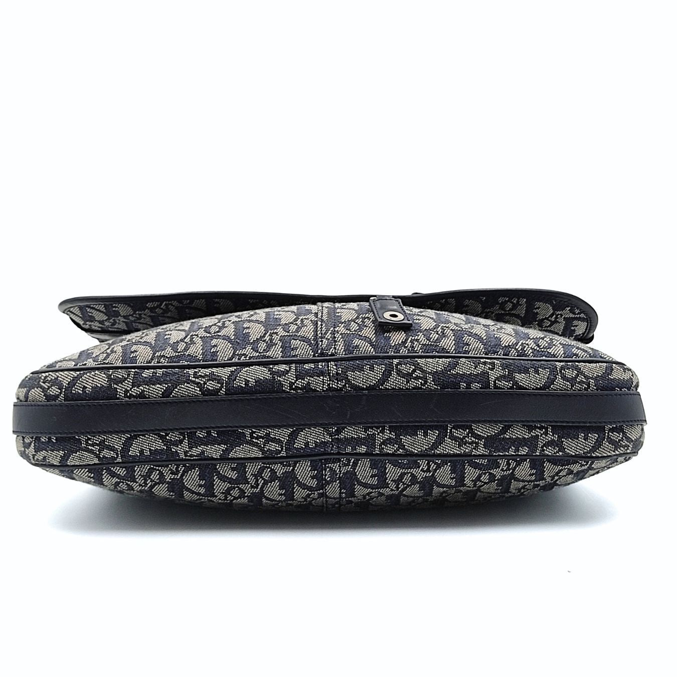 DIOR Saddle large shoulder Bag in monogram canvas