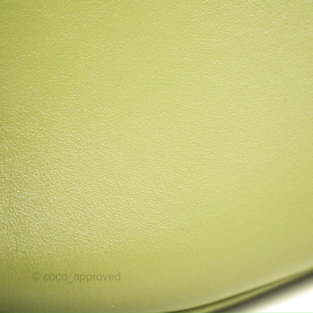 Celine Ava Bag Avocado Green Calfskin