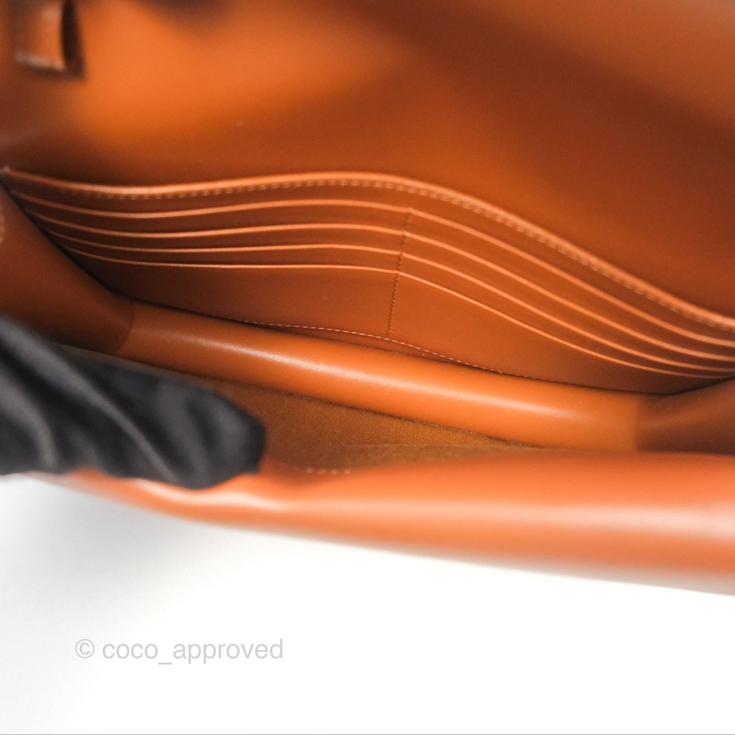 Celine Wallet On Strap Triomphe Canvas Tan Lambskin