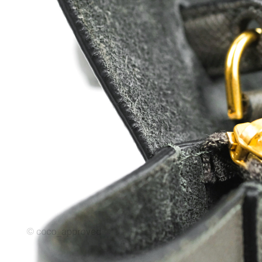 Celine Nano Belt Bag Grey Grained Calfskin Gold Hardware