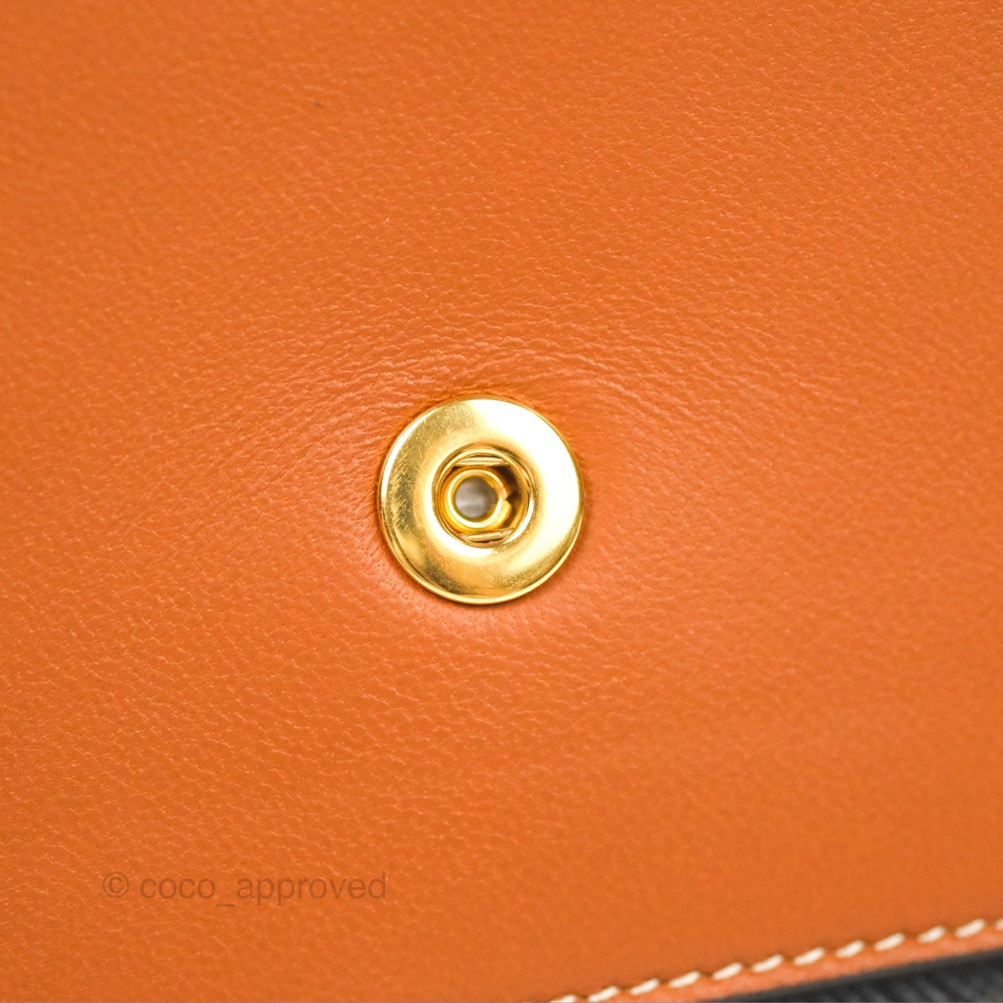 Celine Wallet On Strap Triomphe Canvas Tan Lambskin