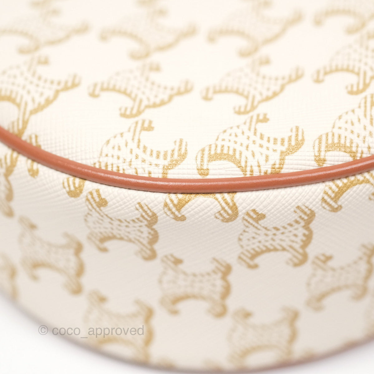 Celine Ava Bag In Triomphe Canvas Calfskin White