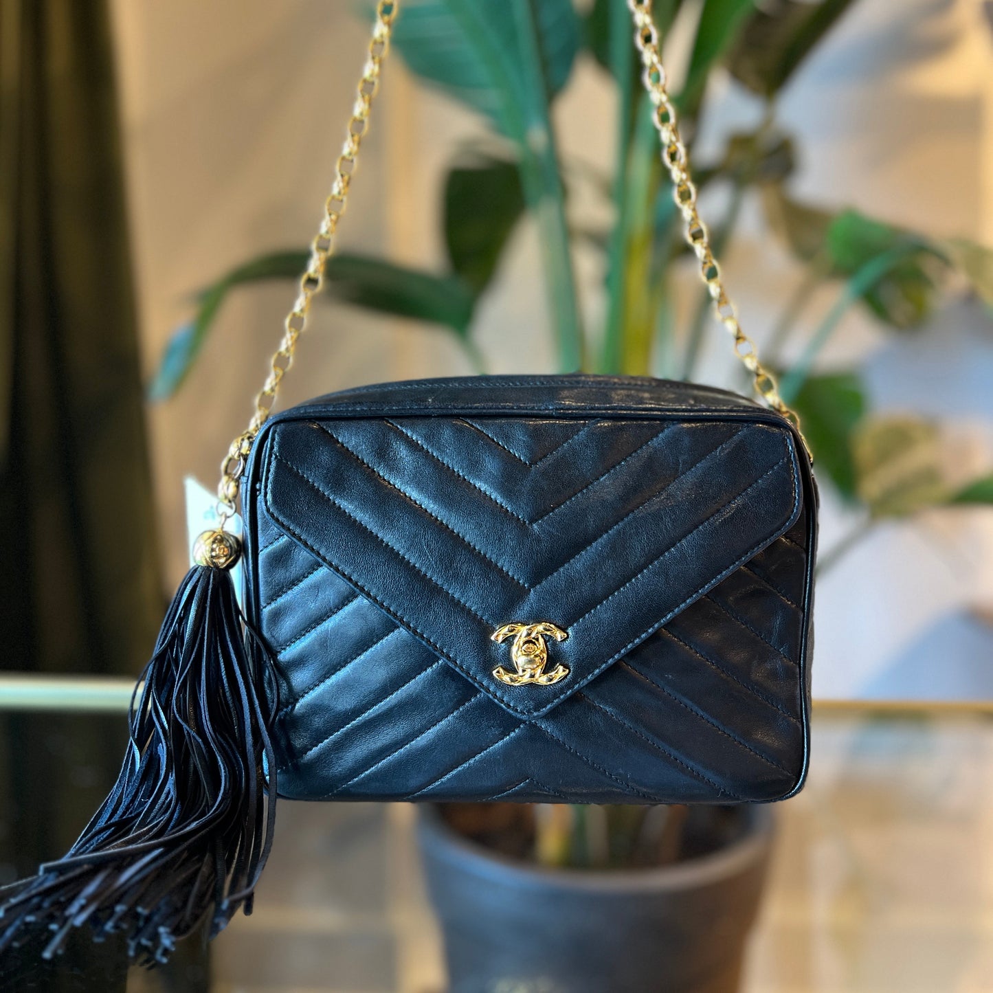 CHANEL Chevron Lambskin Camera Bag