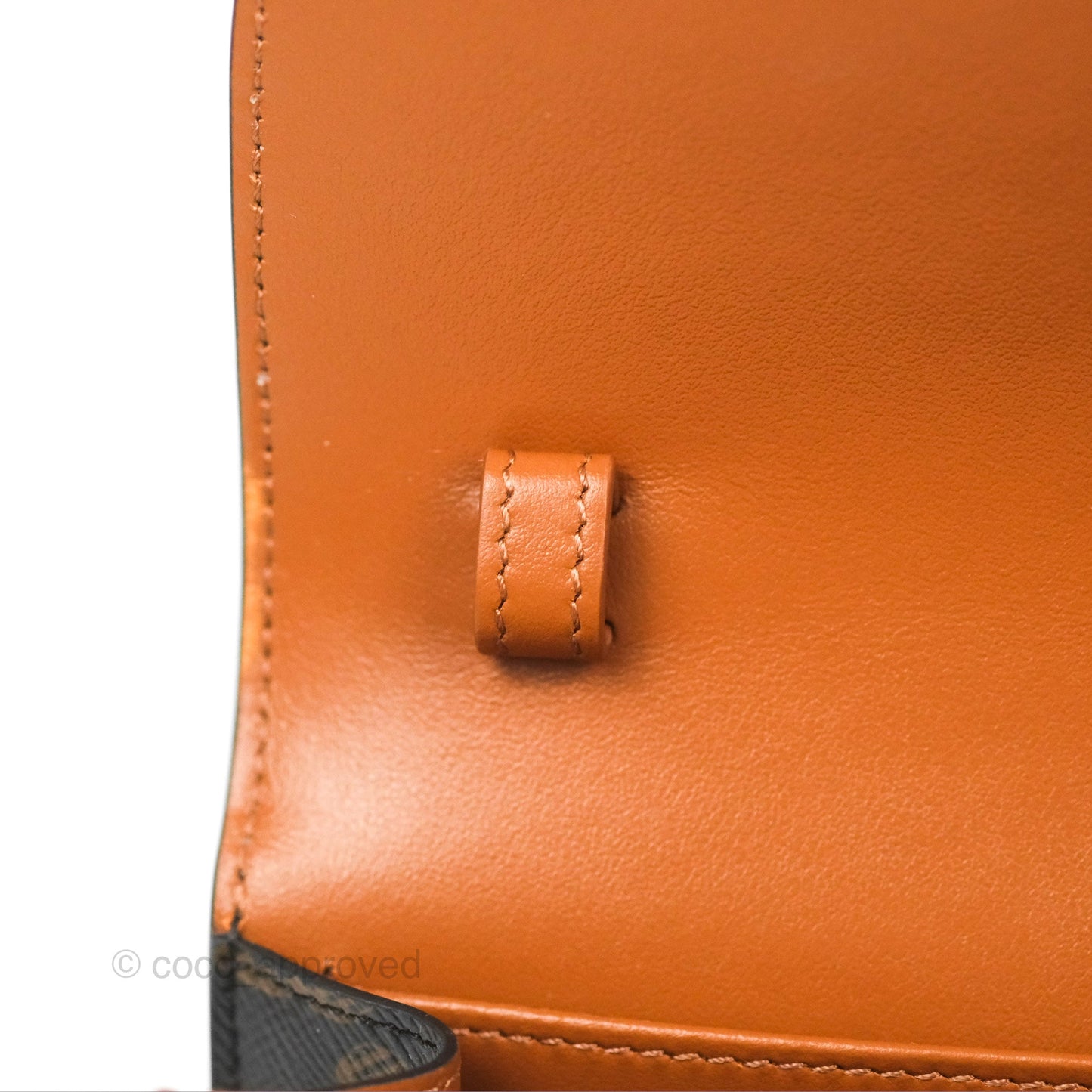 Celine Wallet On Strap Triomphe Canvas Tan Lambskin