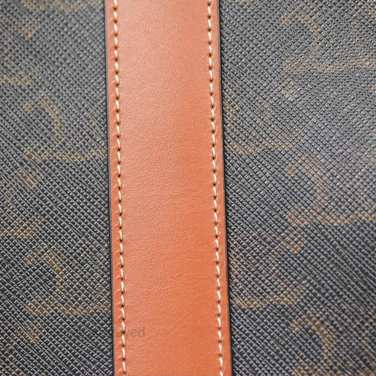 Celine Small Bucket Triomphe Canvas Tan Calfskin