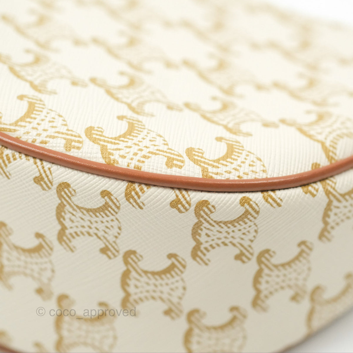 Celine Ava Bag In Triomphe Canvas Calfskin White
