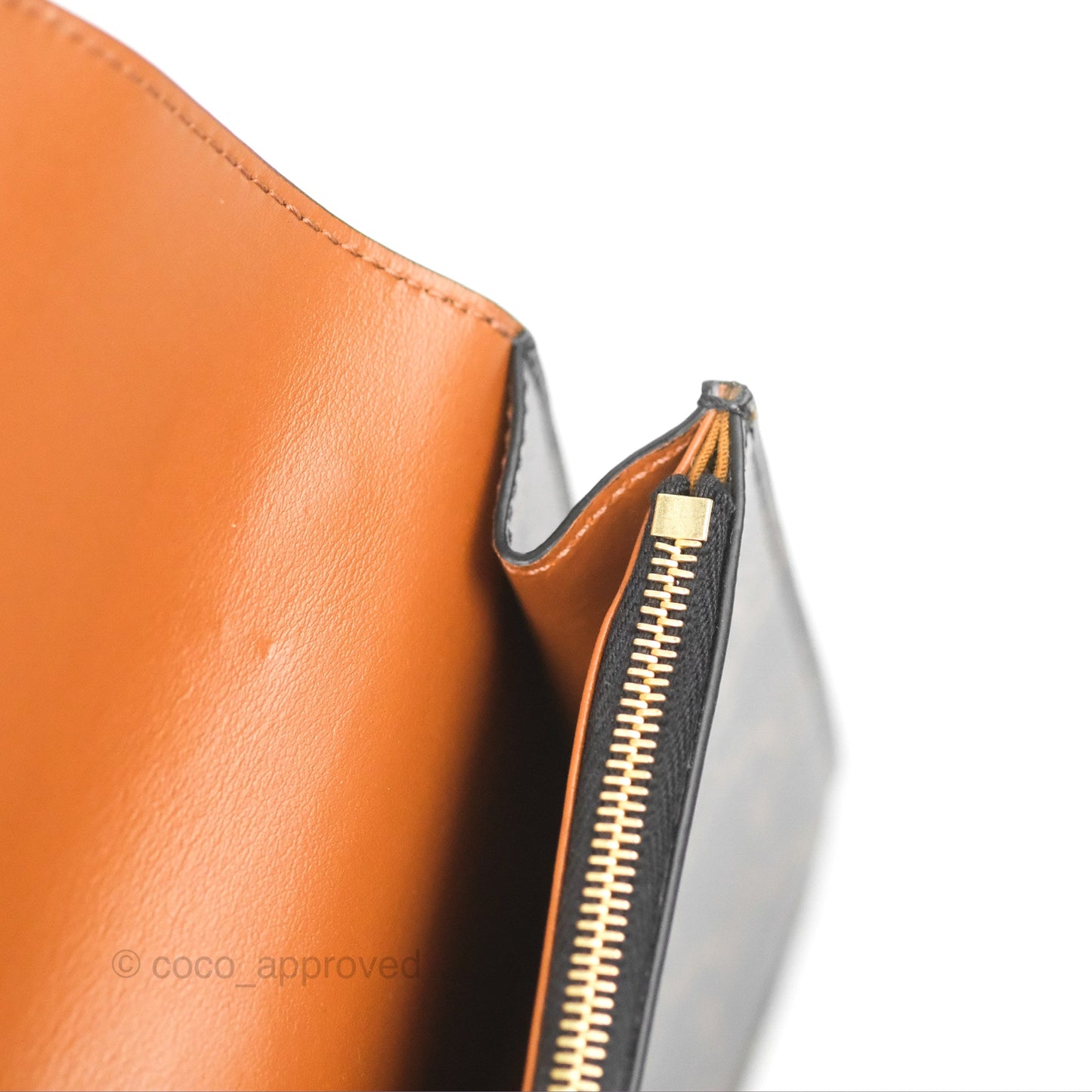 Celine Wallet On Strap Triomphe Canvas Tan Lambskin