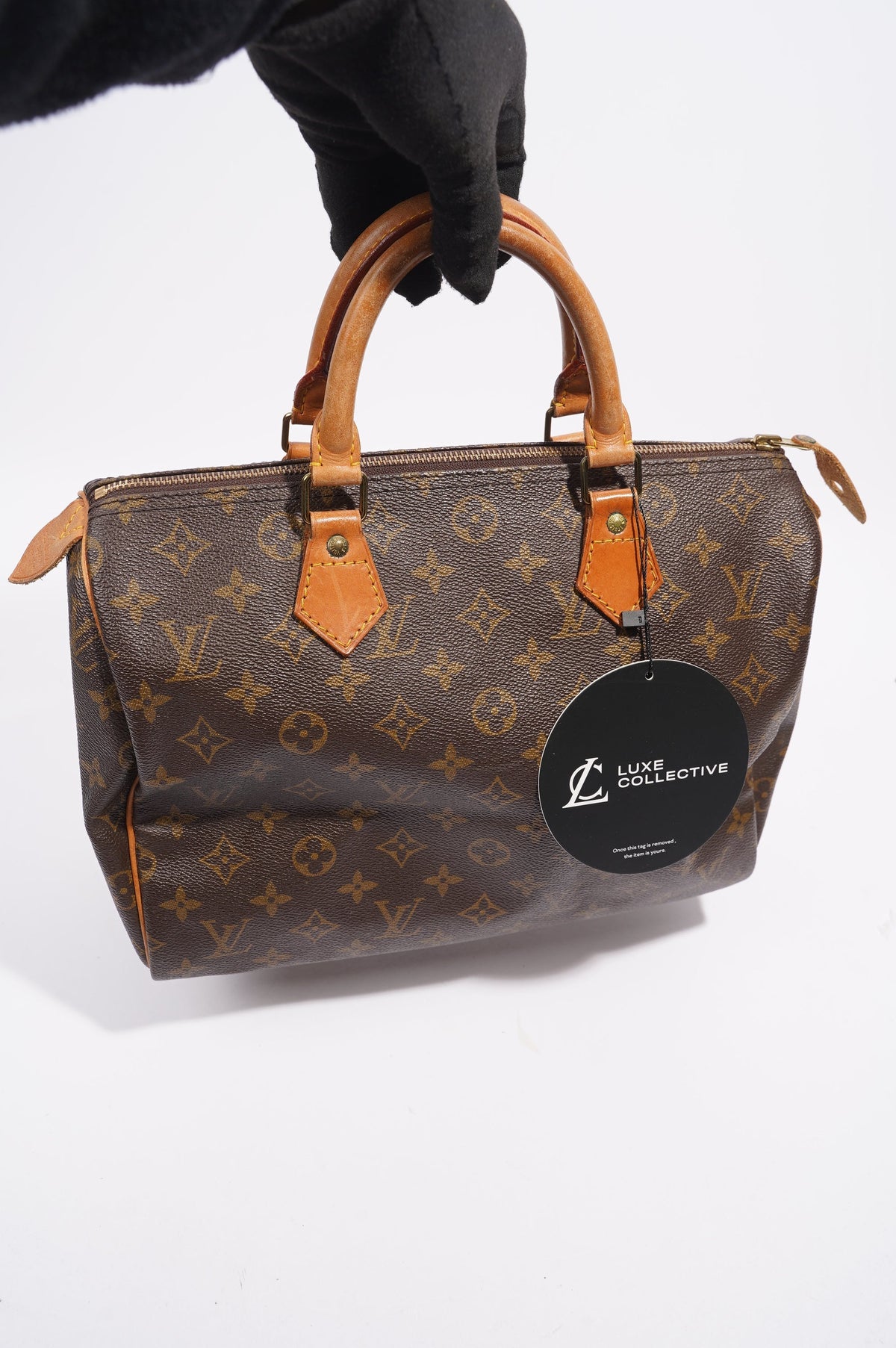 Louis Vuitton Speedy Monogram Canvas 30